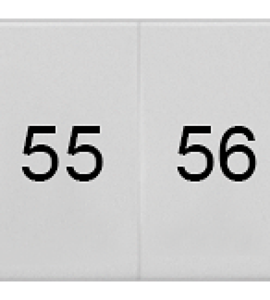 8WH8120-3AB55 Plaquita de inscripción, frente, con 51-60, vertical, ancho de borne: 6,2 m