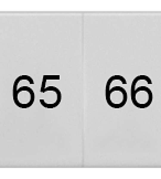 8WH8120-3AB65 Plaquita de inscripción, frente, con 61-70, vertical, ancho de borne: 6,2 m