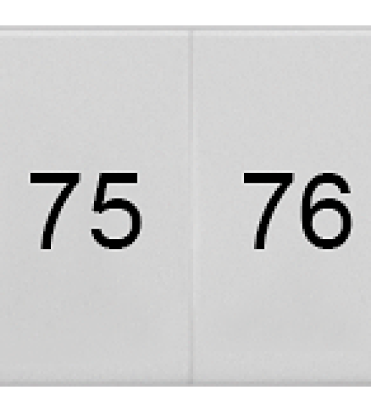 8WH8120-3AB75 Plaquita de inscripción, frente, con 71-80, vertical, ancho de borne: 6,2 m