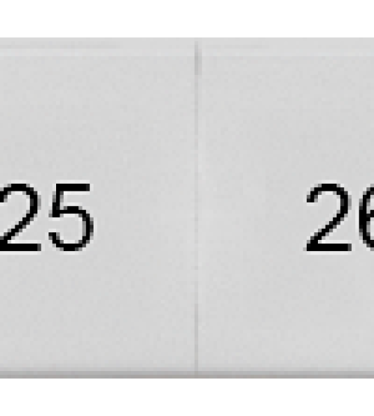 8WH8120-5AB25 Plaquita de inscripción, frente, con 21-30, vertical, ancho de borne: 10,2 mm