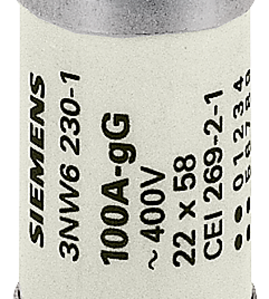 3NW6210-1 SENTRON, cartucho fusible cilíndrico, 22 × 58 mm, 25 A, gG, Un AC: 690 V